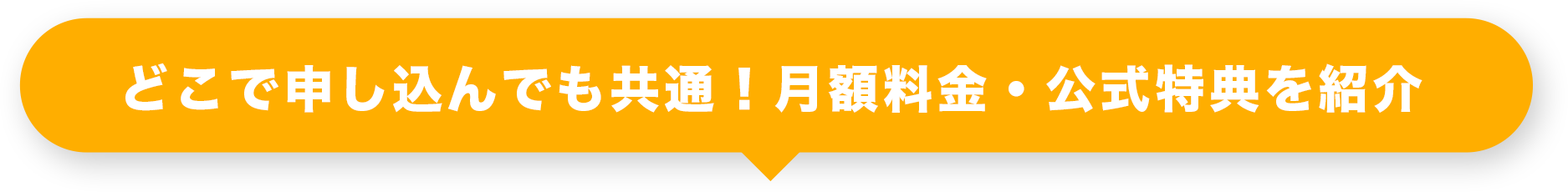 どこで申し込んでも共通!月額料金・公式特典を紹介